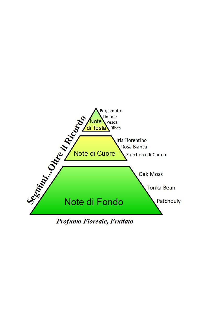 SEGUIMI OLTRE IL RICORDO SOLIDO/CREMA